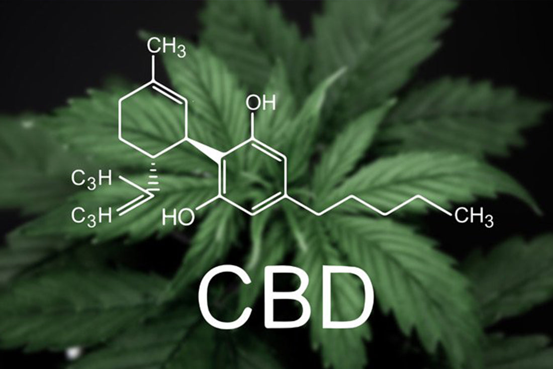 CBD Image