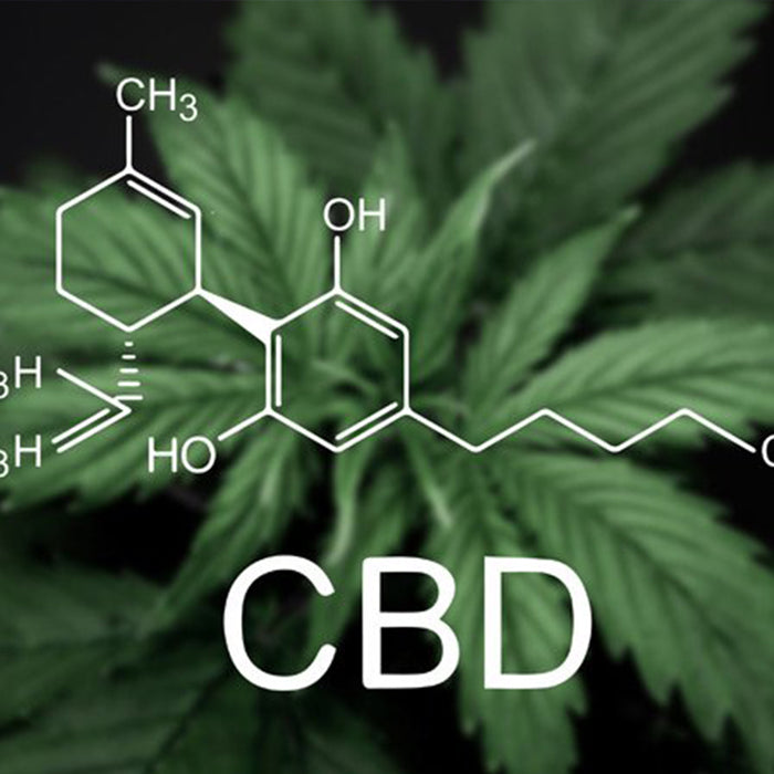 CBD Image