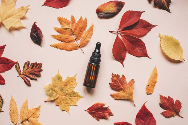 Autumn Skincare Routine: Tips for Keeping Your Skin Hydrated and Glowing