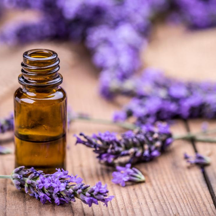 LAVENDER OIL as a first-line treatment for people with anxiety?