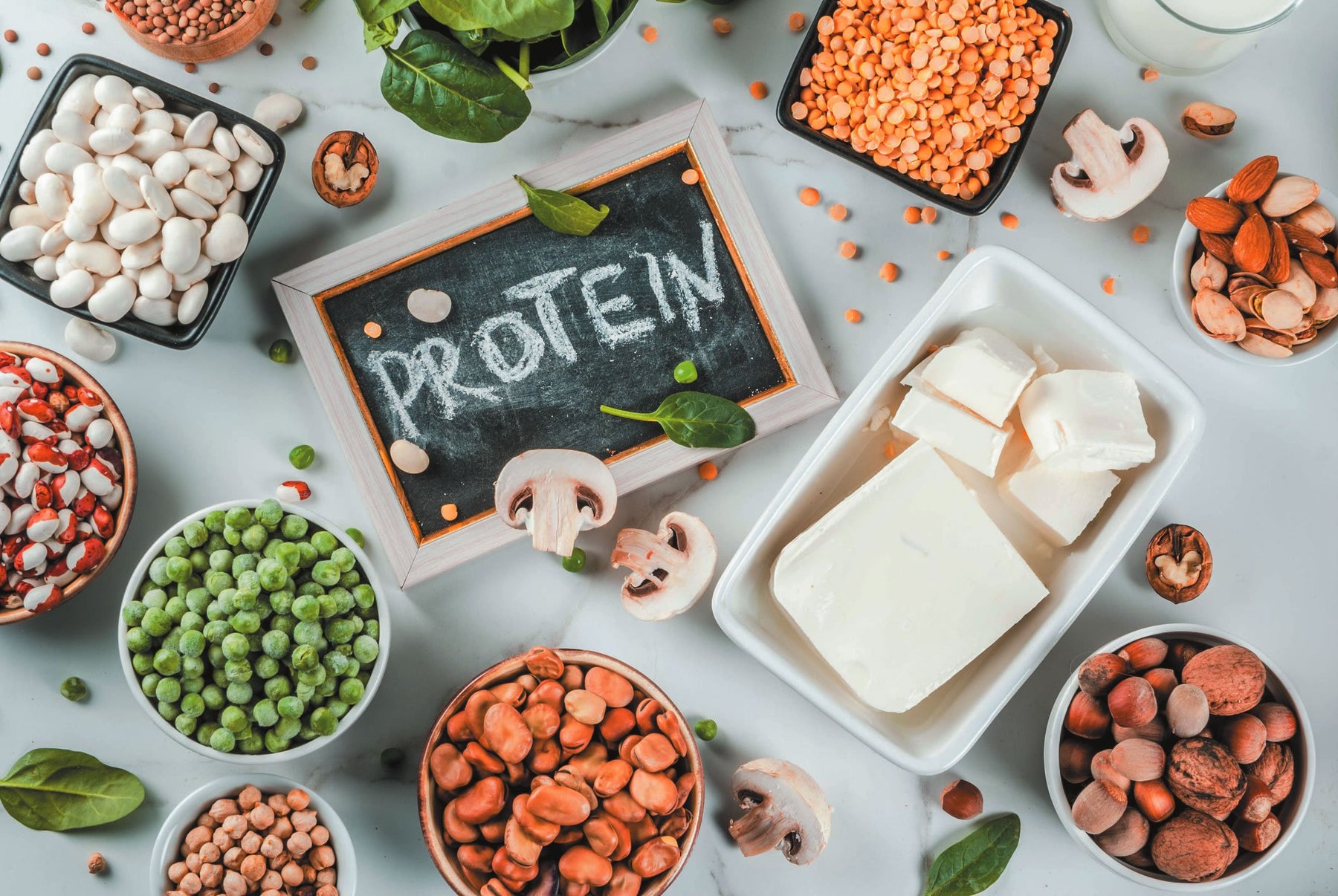 5 Reasons Why Plant Protein is the Way to Go in 2023!