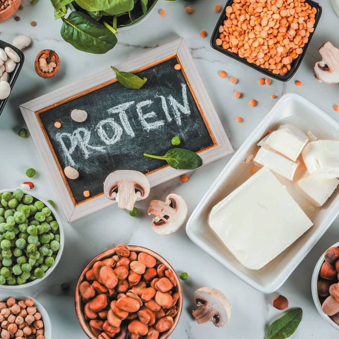 5 Reasons Why Plant Protein is the Way to Go in 2023!