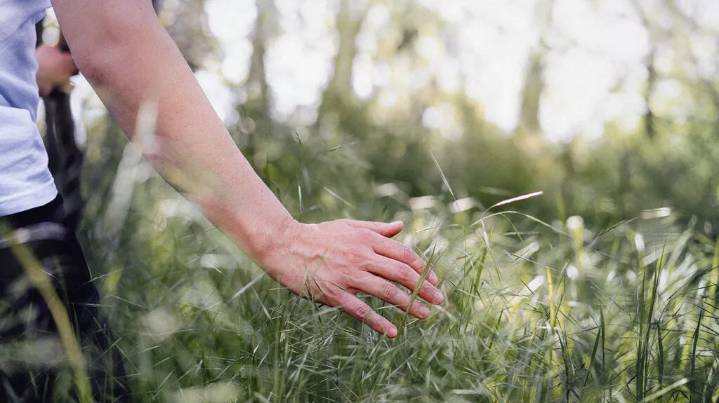 Allergy Alert: Tips for Managing Hay Fever and Other Seasonal Allergies