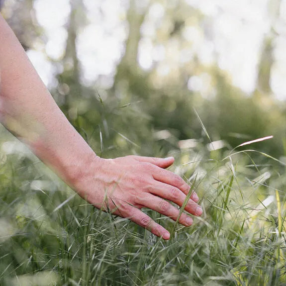 Allergy Alert: Tips for Managing Hay Fever and Other Seasonal Allergies