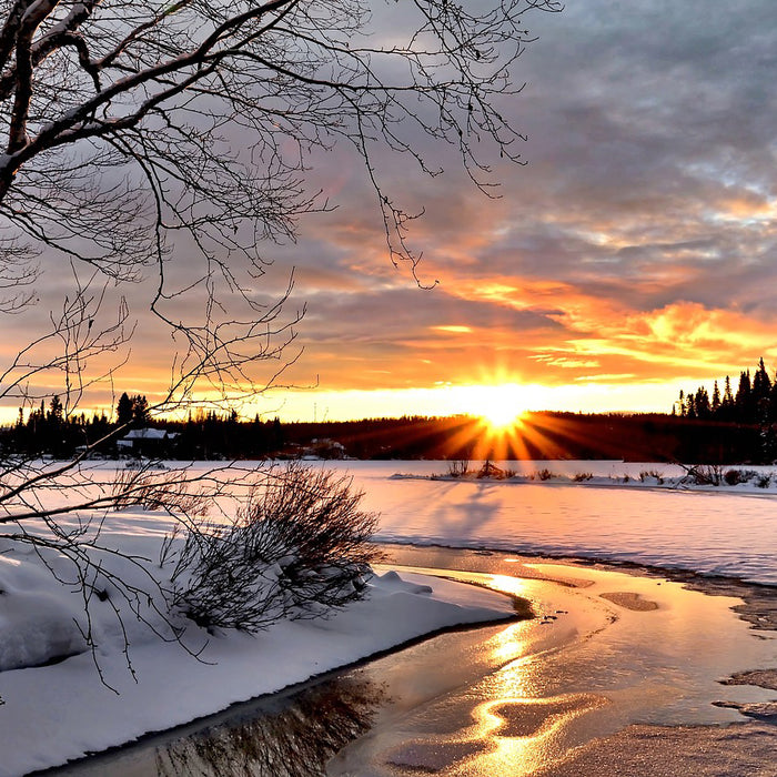 Beating the Winter Blues: How to Stay Energized and Happy during the Winter Solstice