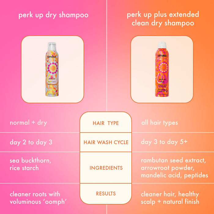 Amika Perk Up Plus Dry Shampoo 150g