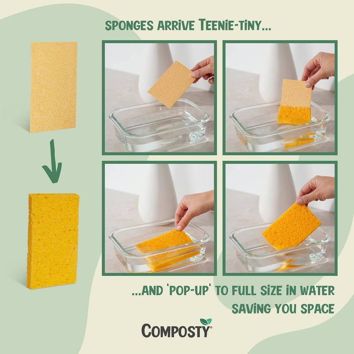 Composty Magic 'Pop-Up' Sponges 6pc