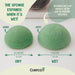 Composty Konjac Facial Sponges 4pc