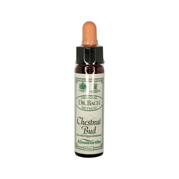 Ainsworths 10 ml Chestnut Bud Bach Flower Remedy