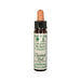 Ainsworths 10 ml Chestnut Bud Bach Flower Remedy