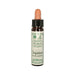 Ainsworths 10 ml Impatiens Bach Flower Remedy