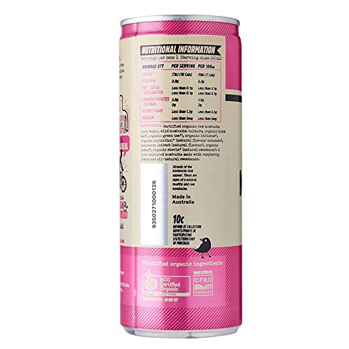 Remedy Kombucha Org CANS Raspberry Lemonade 250 ml