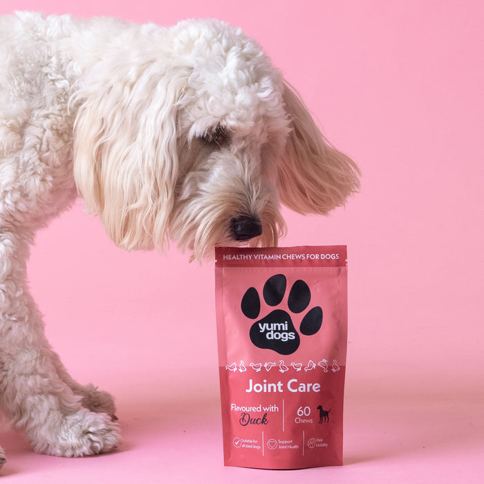 Yumi Delicious and healthy Joint Care treat for dogs