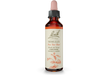 Dr Bach Mimulus Bach Flower Remedy 10ml