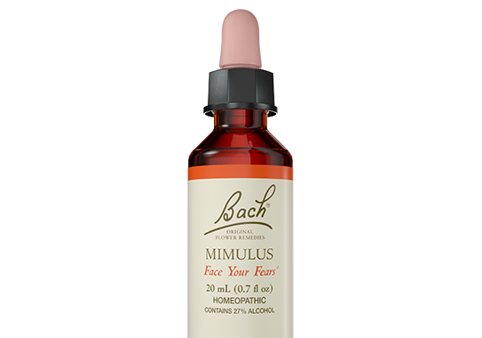 Dr Bach Mimulus Bach Flower Remedy 10ml